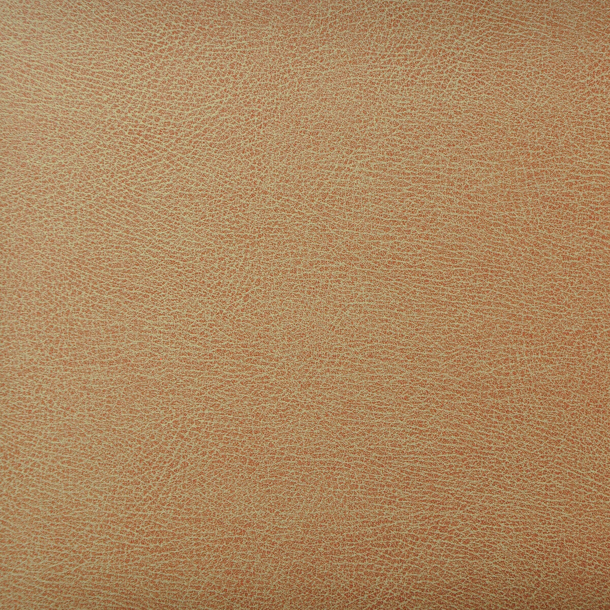 caswell60-kravet-design-caswell-6-kravet-design