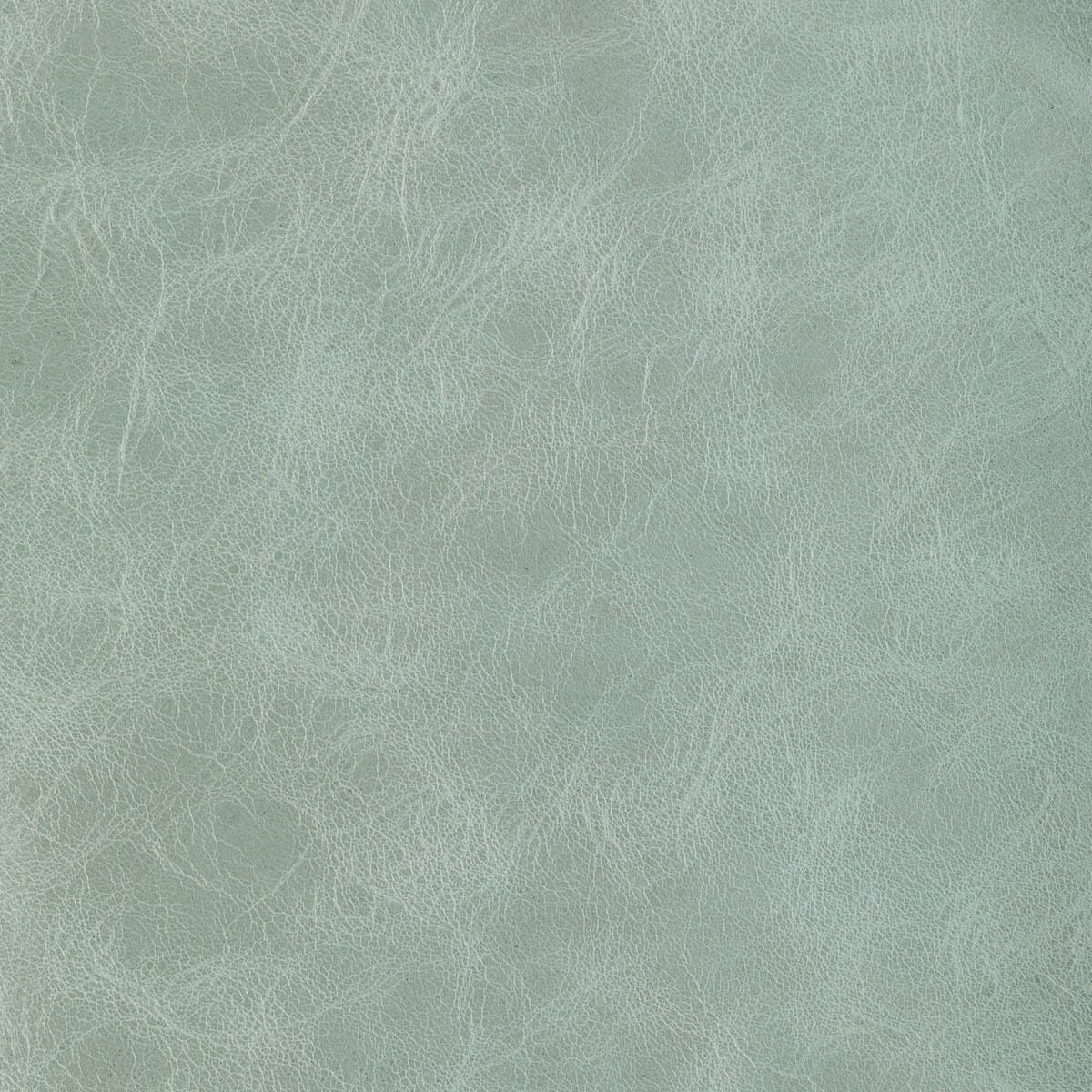 l-brantleysage0-l-brantley-sage-kravet-design - KRAVET DESIGN Fabric