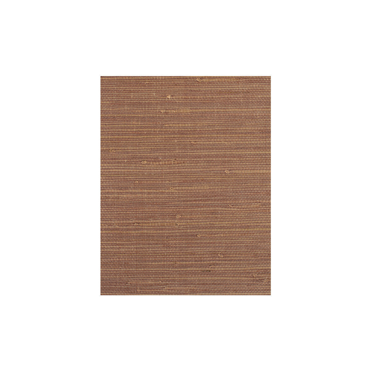 wiw2504wt0-montego-rosebud-winfield-thybony - WINFIELD THYBONY Wallpaper