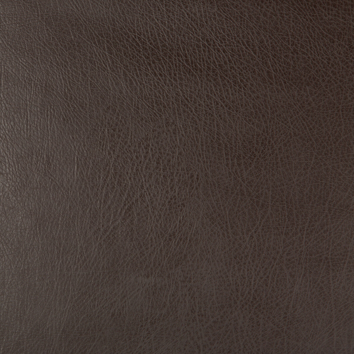 deimos660-kravet-design-deimos-66-kravet-design - KRAVET DESIGN Fabric
