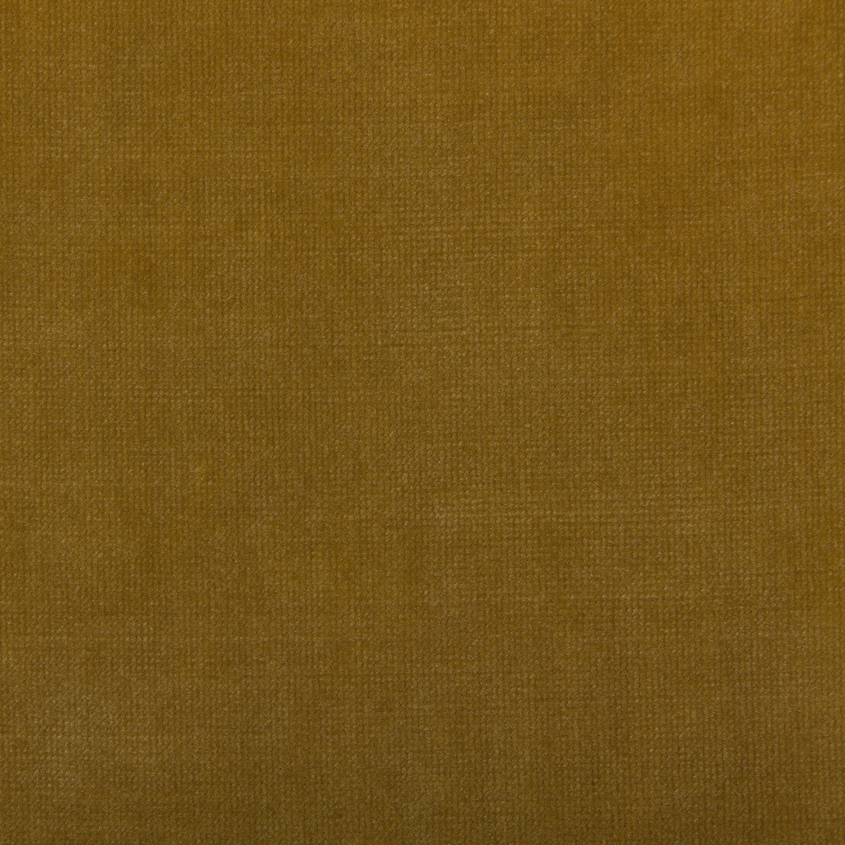 3536040-chessford-gold-kravet-smart