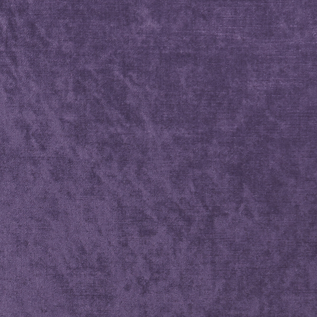 f106918cac0-allure-grape-clarke-and-clarke