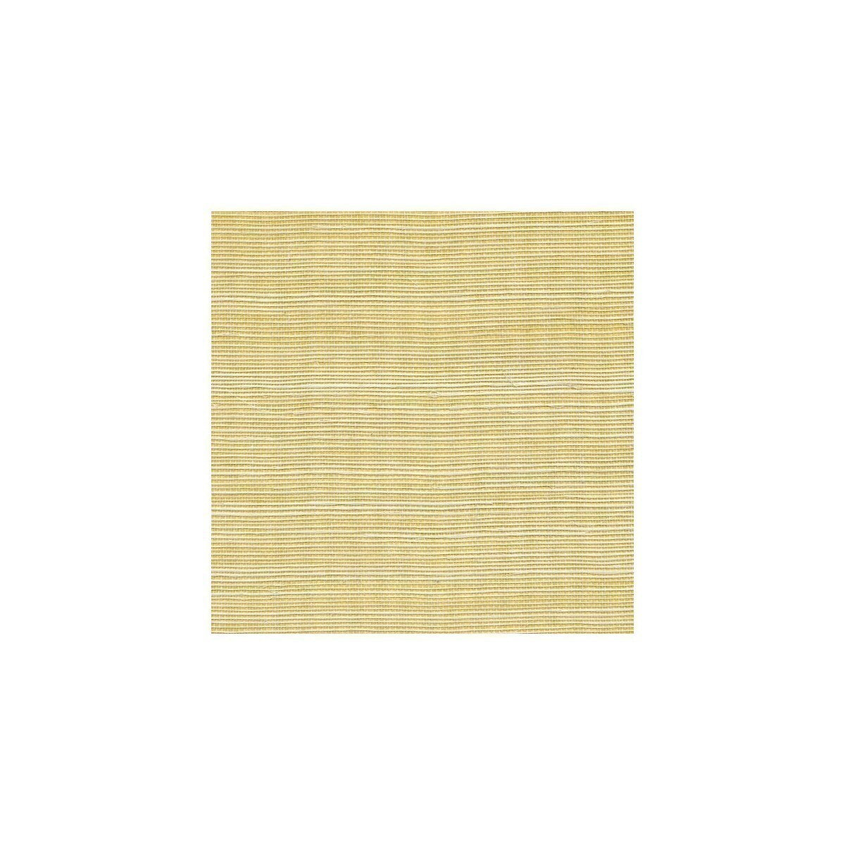 wss4520wt0-metallic-sisal-glistening-ore-winfield-thybony
