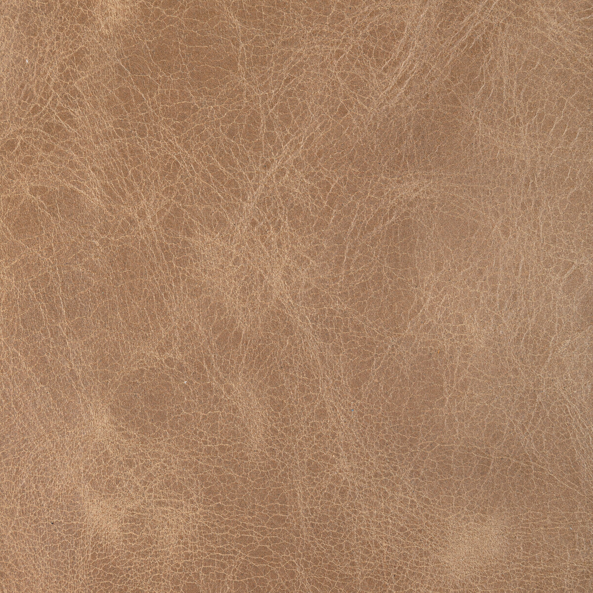 l-droverspeanut0-kravet-design-l-drovers-peanut-kravet-design