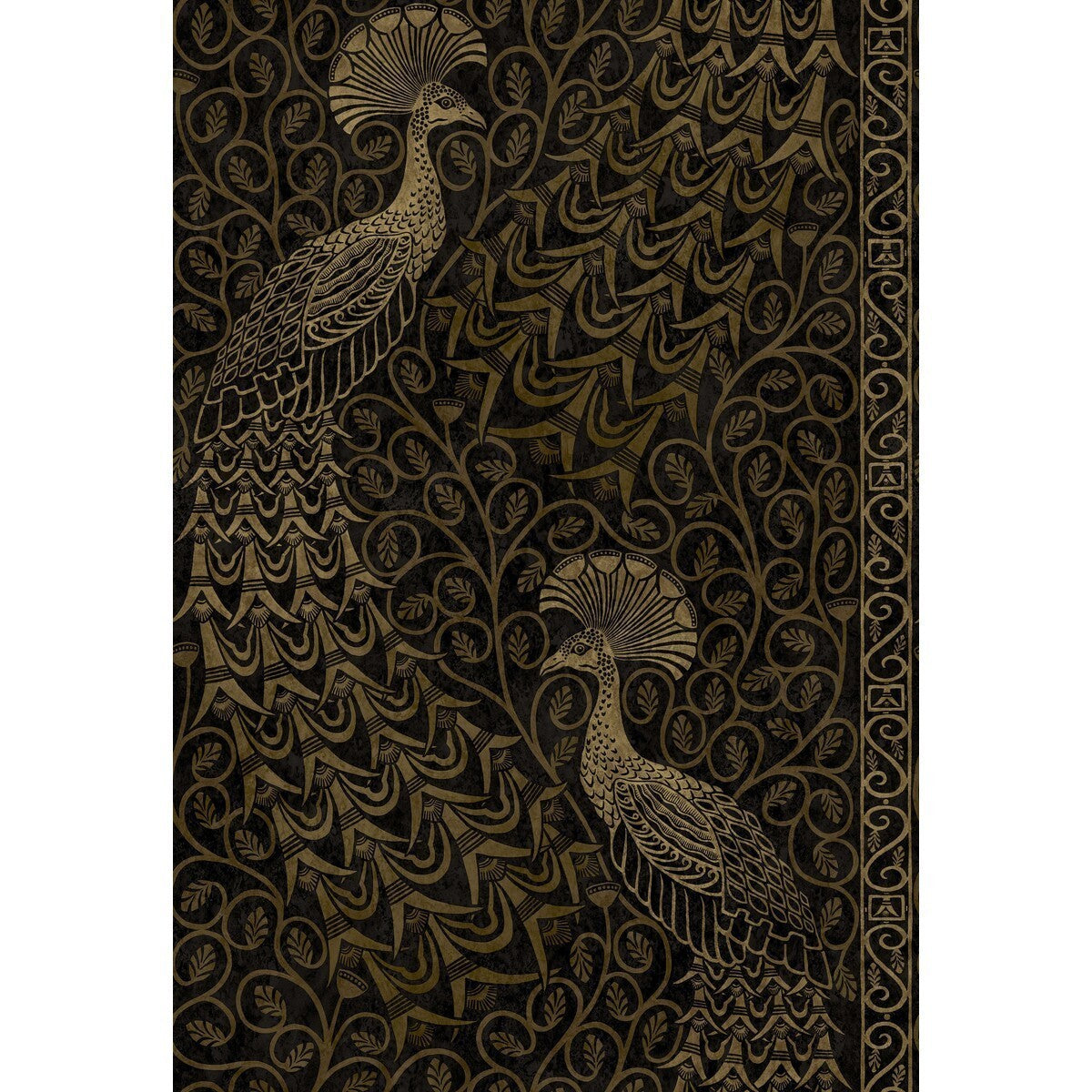 1168032cs0-pavo-parade-m-goldsoot-cole-son