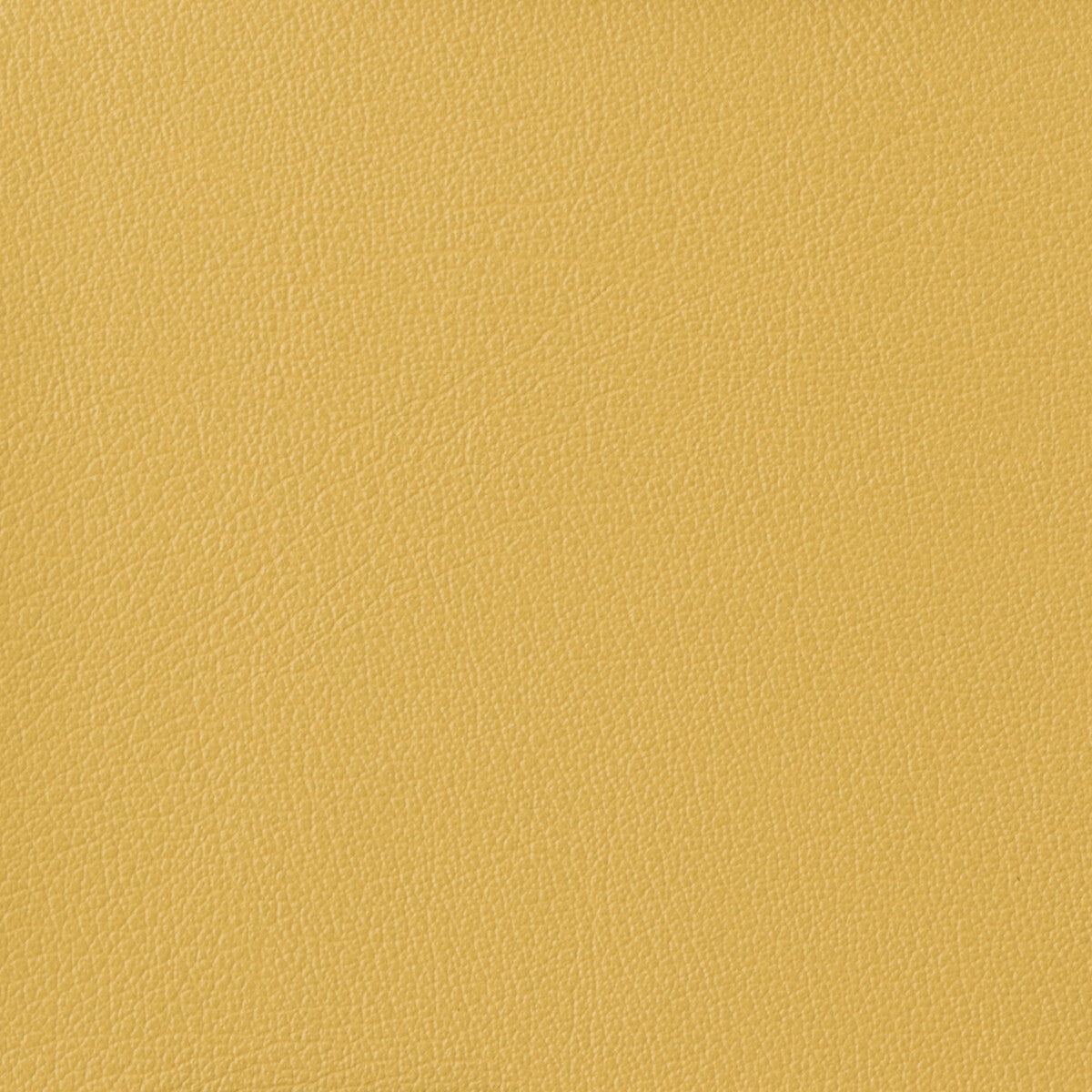 otto400-kravet-basics-otto-40