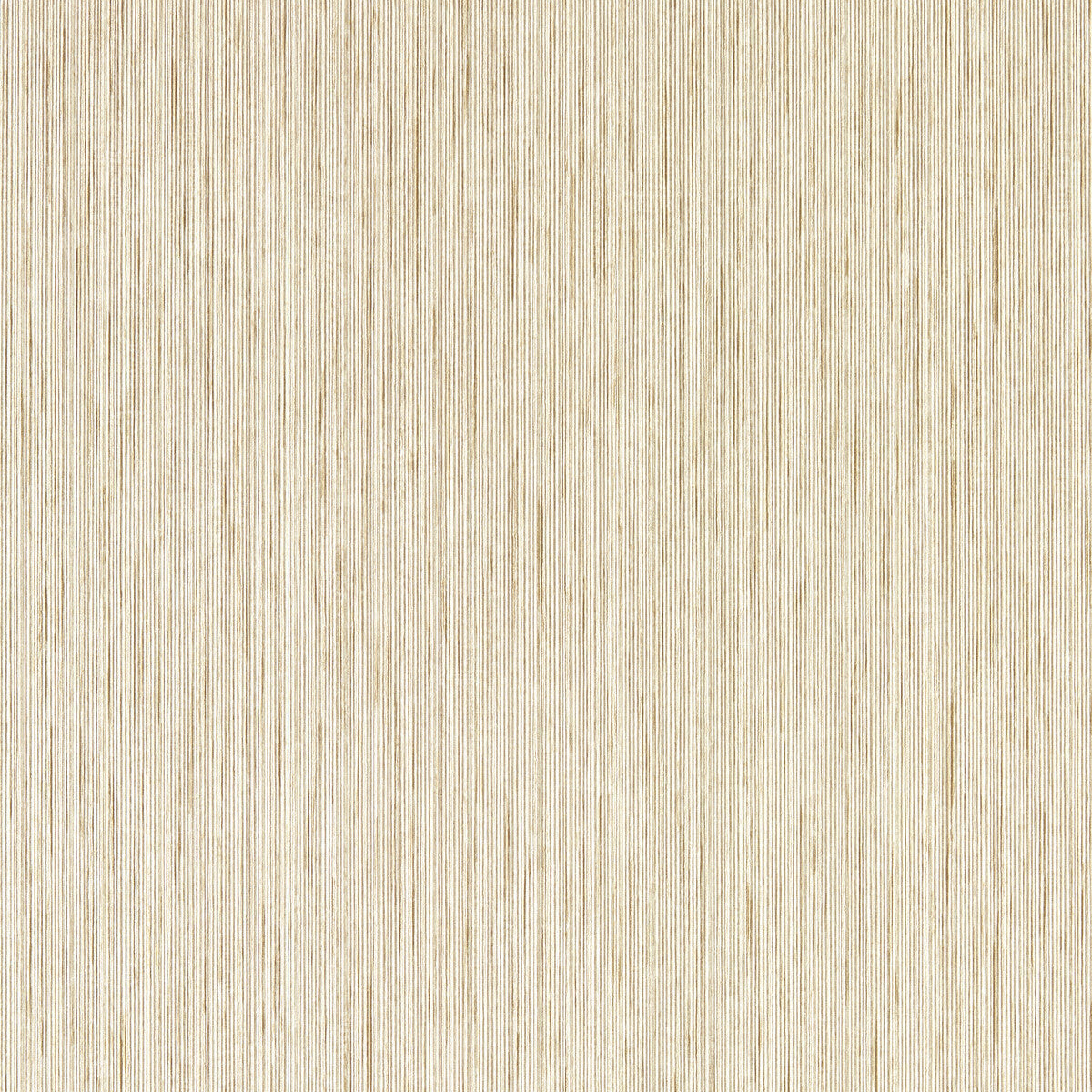 w020505cac0-asper-sahara-wp-clarke-and-clarke - CLARKE AND CLARKE Wallpaper