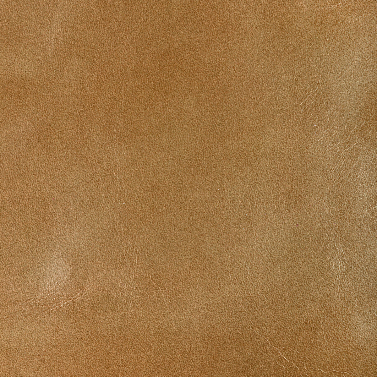 l-chanteyburlywood0-kravet-design-l-chantey-burlywood-kravet-design