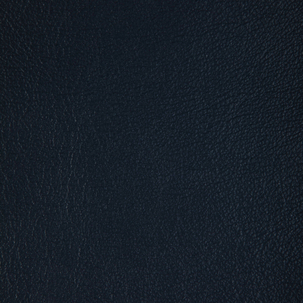 l-badgerastro0-kravet-design-l-badger-astro-kravet-design