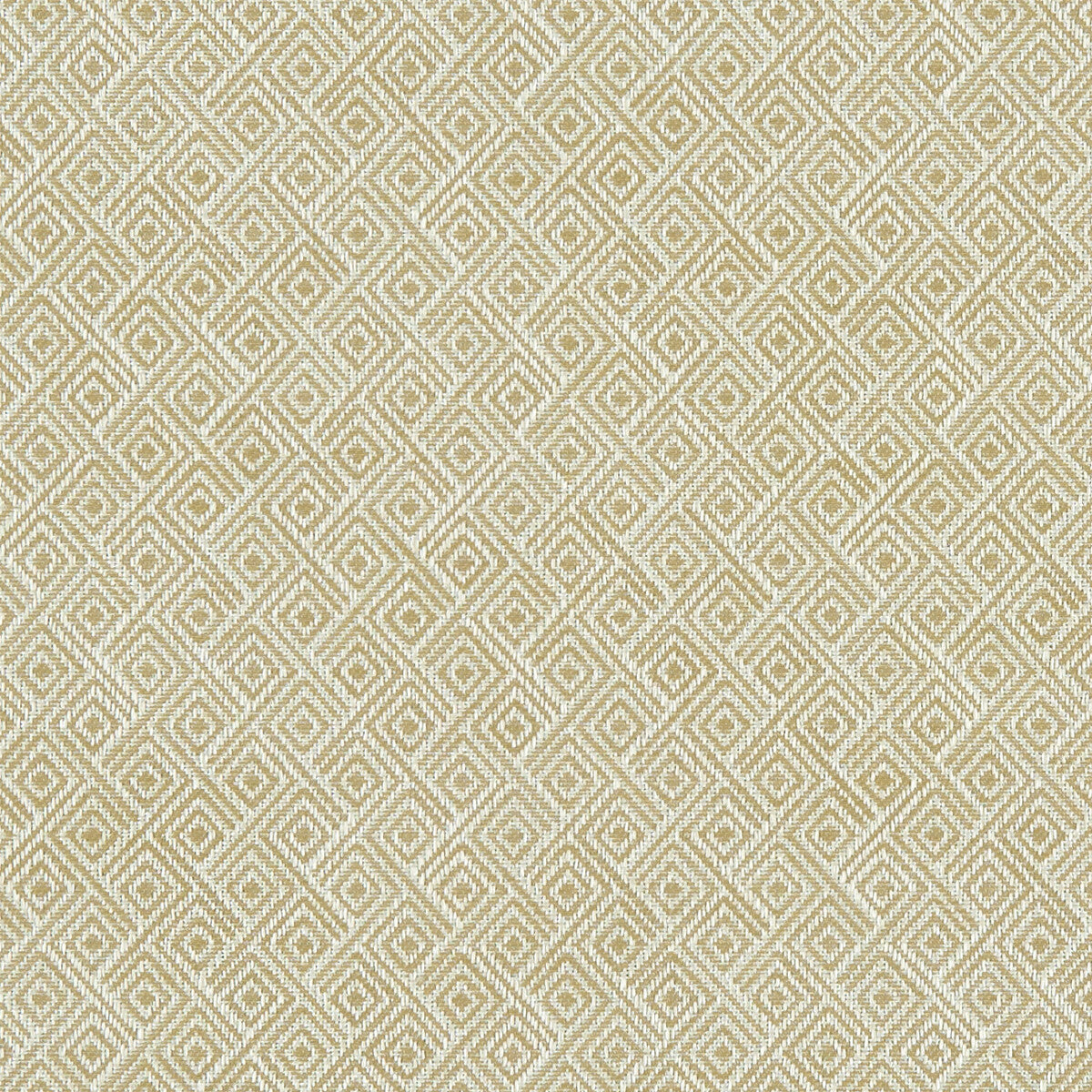 f113401cac0-rhombus-antique-clarke-and-clarke