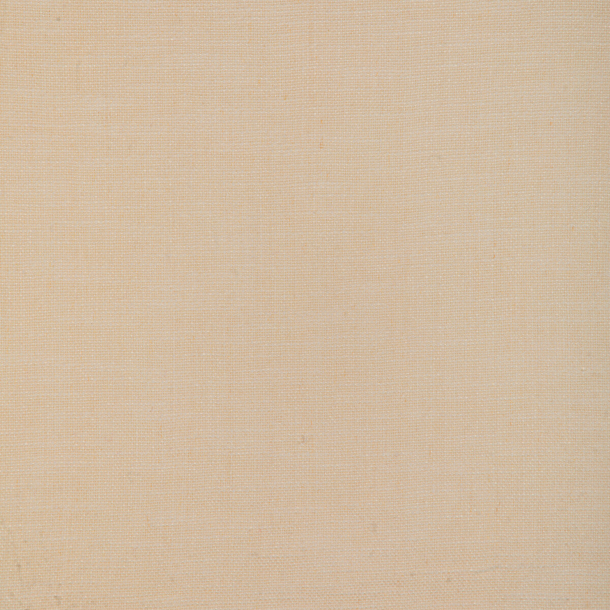 3731910-kravet-basics-37319-1 - KRAVET BASICS Fabric