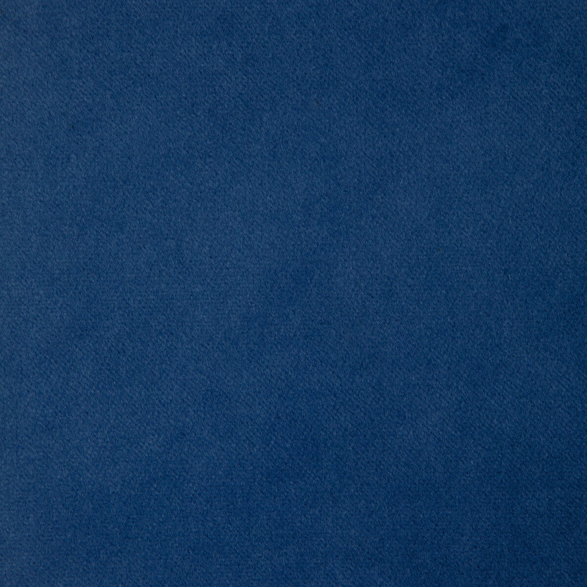 332991550-kravet-basics-33299-155 - KRAVET BASICS Fabric