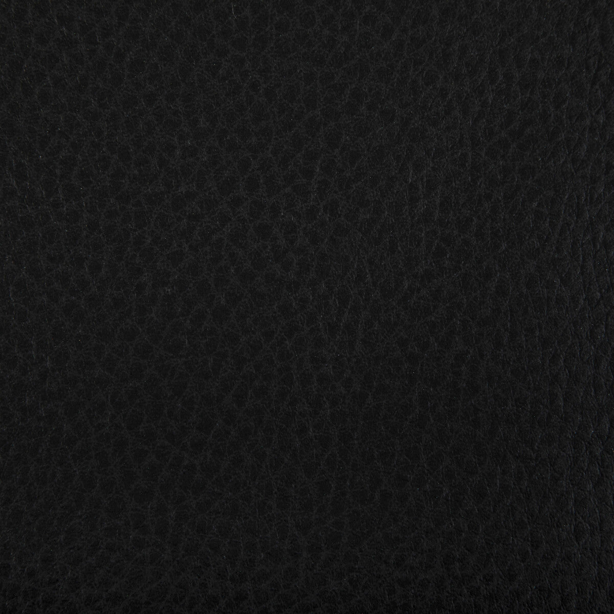 woolf80-woolf-stallion-kravet-contract - KRAVET CONTRACT Fabric
