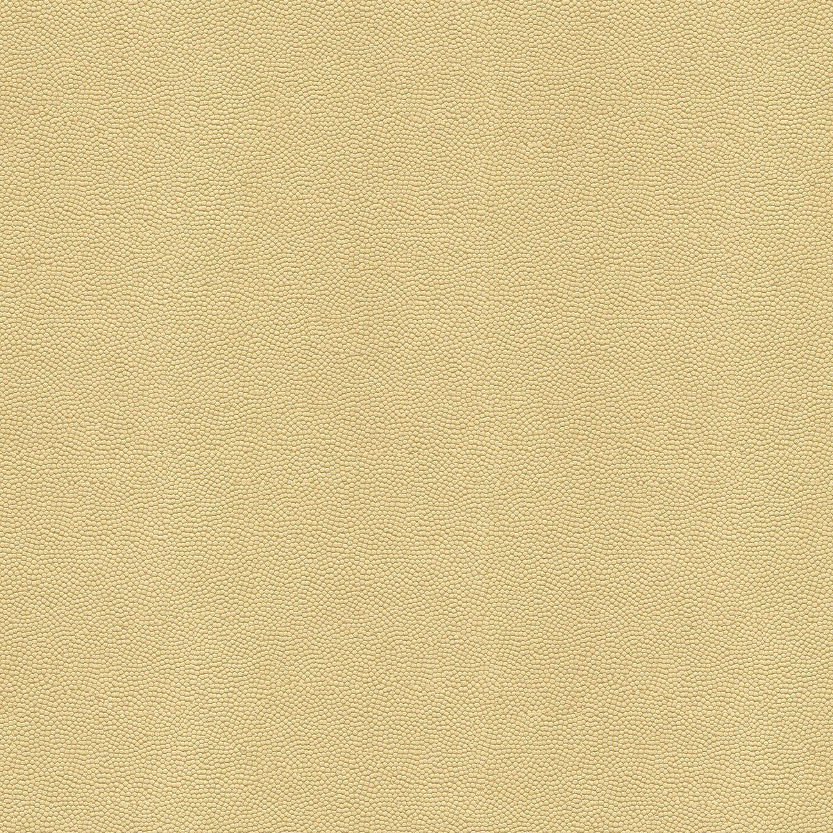 beautymark11160-beautymark-sand-kravet-couture