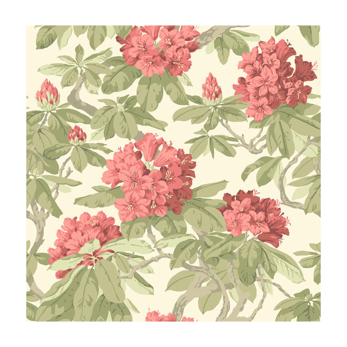 994020cs0-bourlie-coral-cole-son