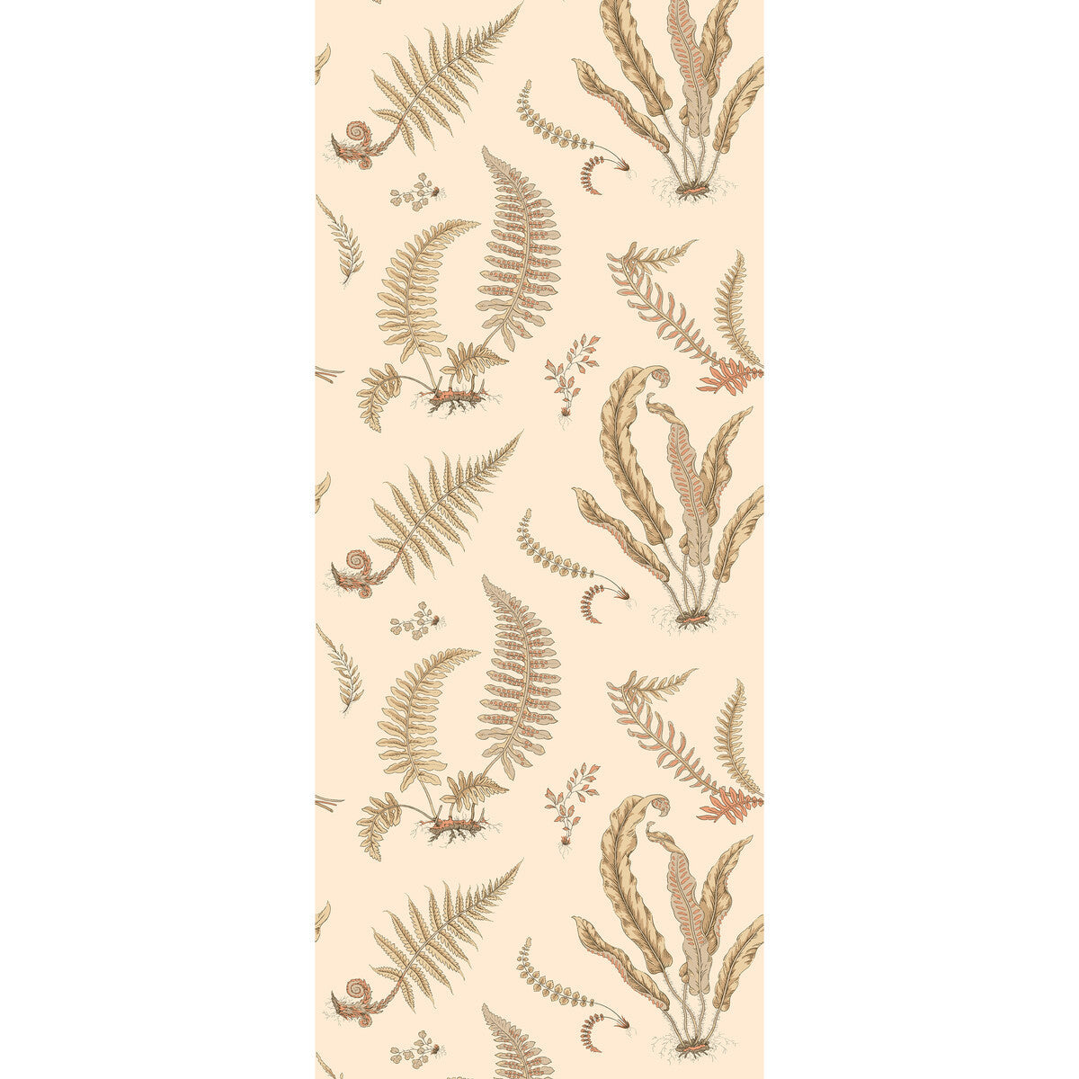 bw4512220-ferns-parchment-g-p-j-baker