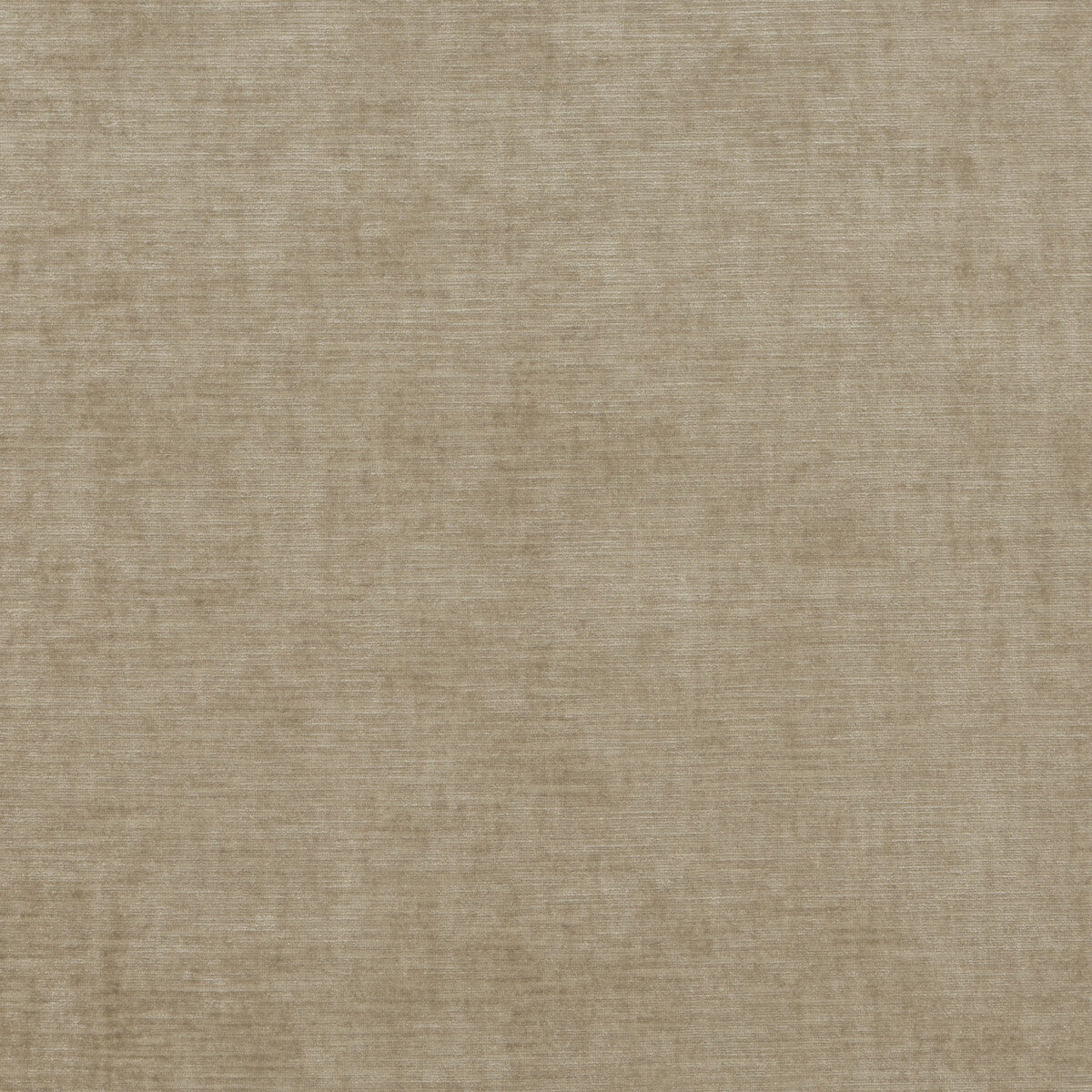 bf106922300-essential-velvet-oatmeal-g-p-j-baker - G P & J BAKER Fabric