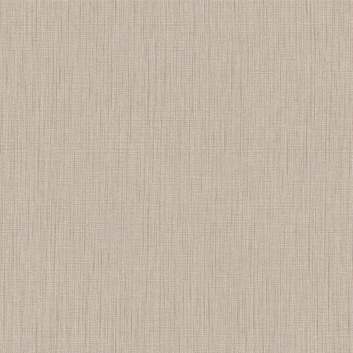 whf3779wt0-merino-sugarcane-winfield-thybony - WINFIELD THYBONY Wallpaper