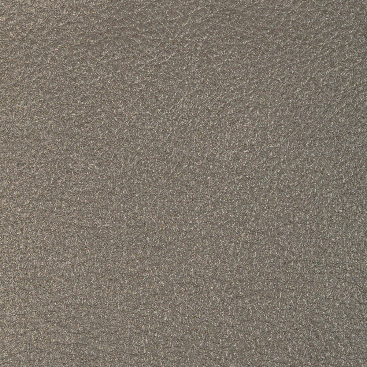 l-conchaselephant0-kravet-design-l-conchas-elephant-kravet-design