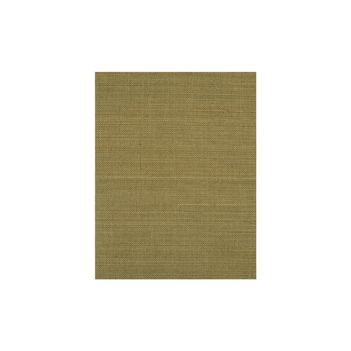 wiw2539wt0-negril-jade-winfield-thybony - WINFIELD THYBONY Wallpaper