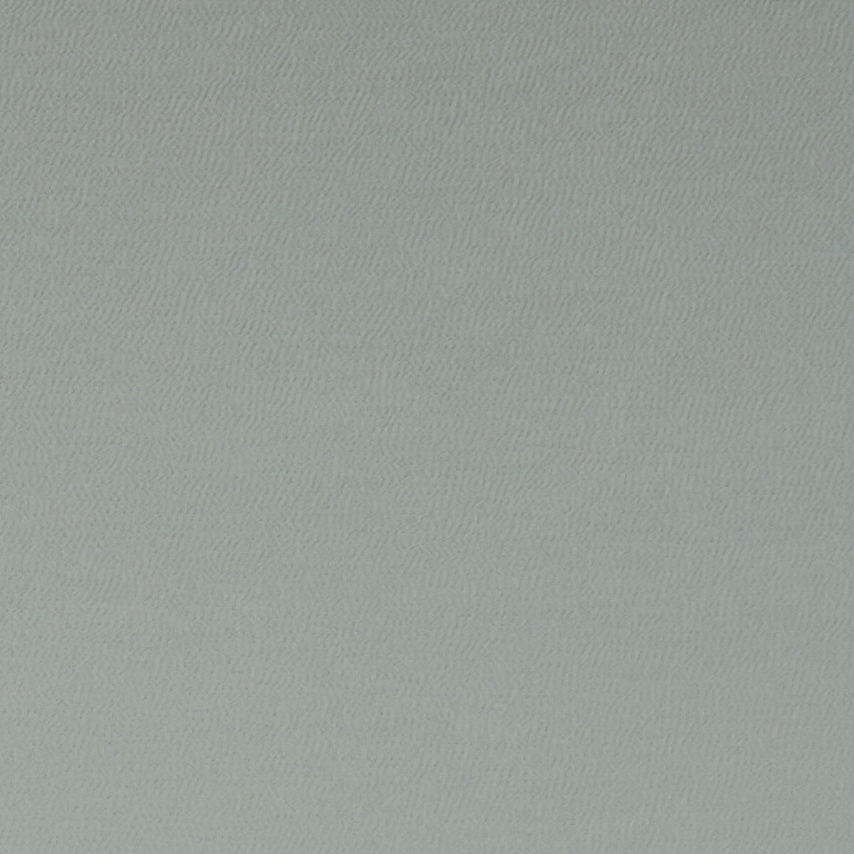 f106202cac0-spectrum-birch-clarke-and-clarke - CLARKE AND CLARKE Fabric