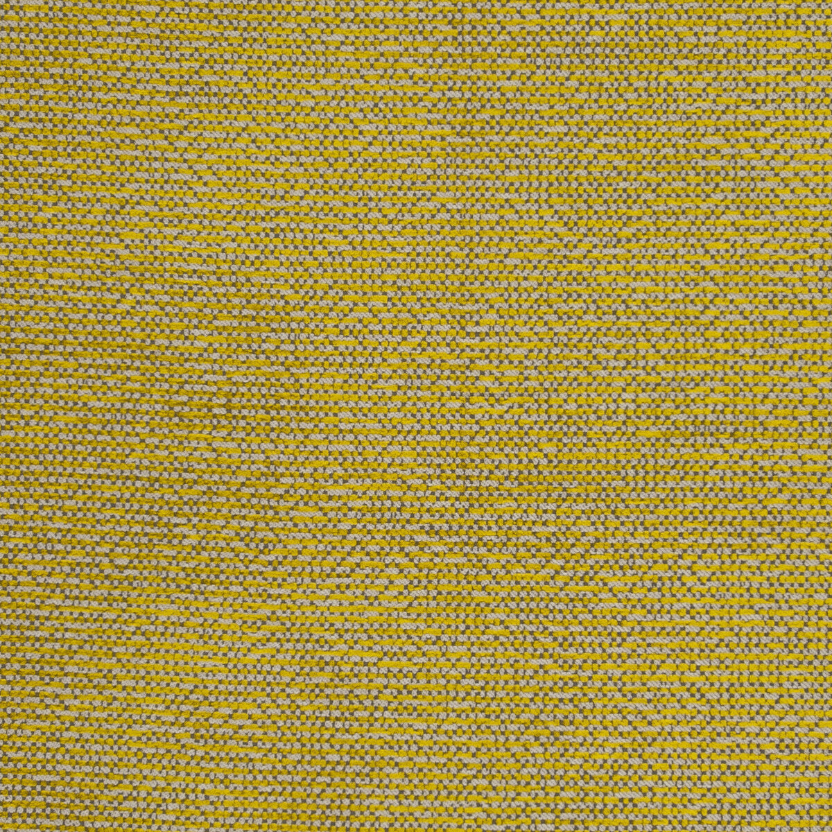 f080402cac0-beauvoir-citrus-clarke-and-clarke - CLARKE AND CLARKE Fabric