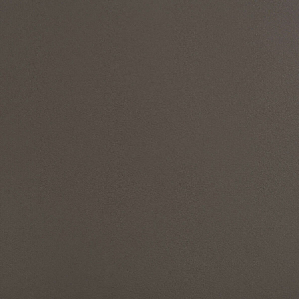 beech210-kravet-design-beech-21-kravet-design