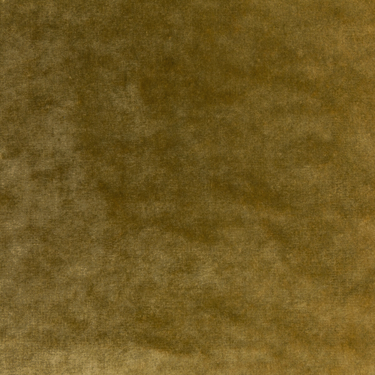 3606440-regal-velvet-ochre-kravet-couture