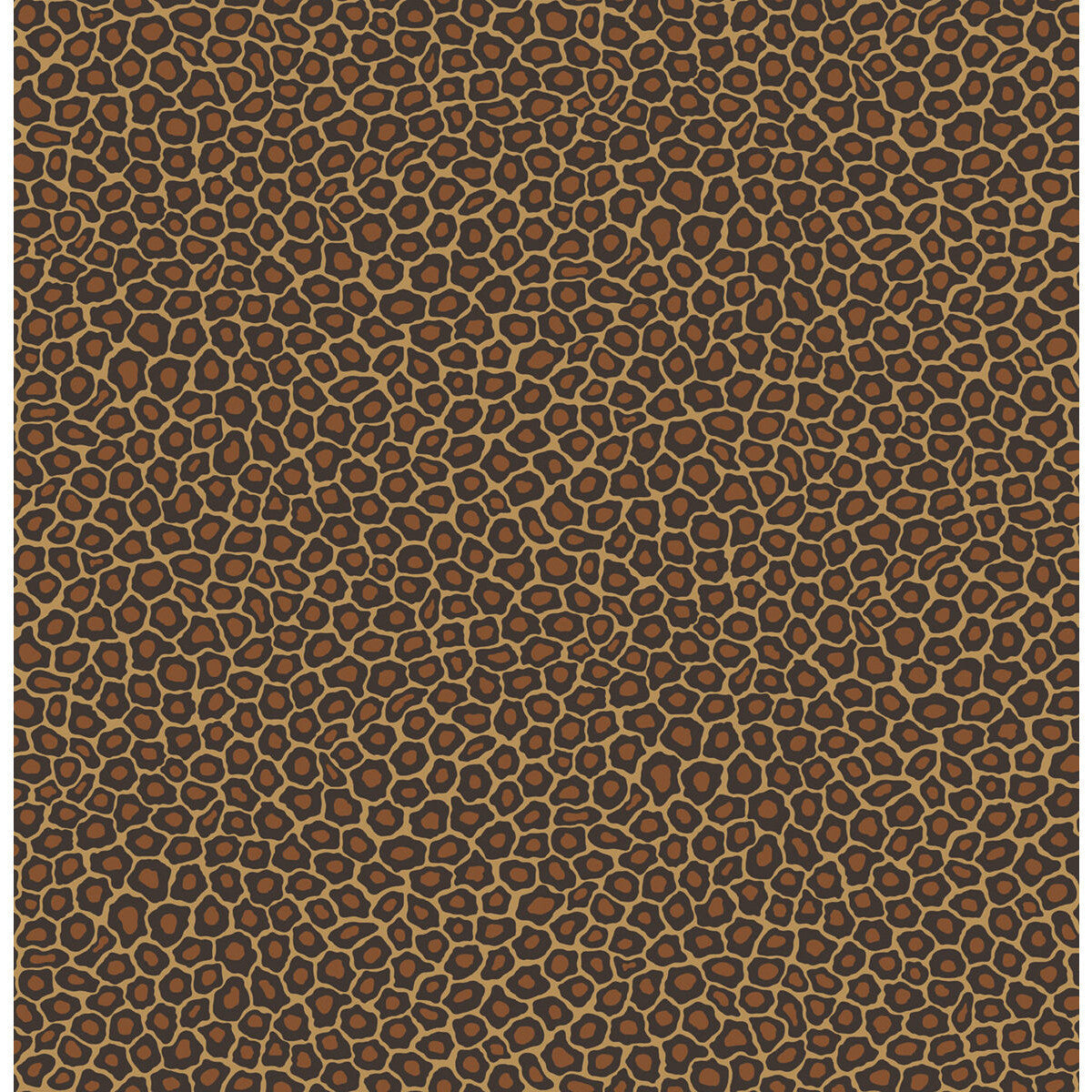 1096028cs0-senzo-spot-true-leopard-cole-son