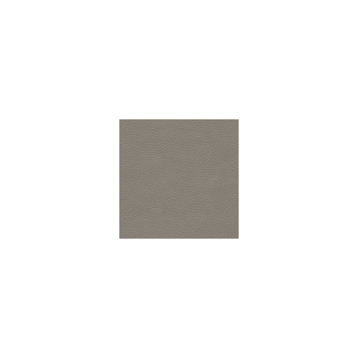 metaliskin110-metaliskin-pewter-kravet-couture