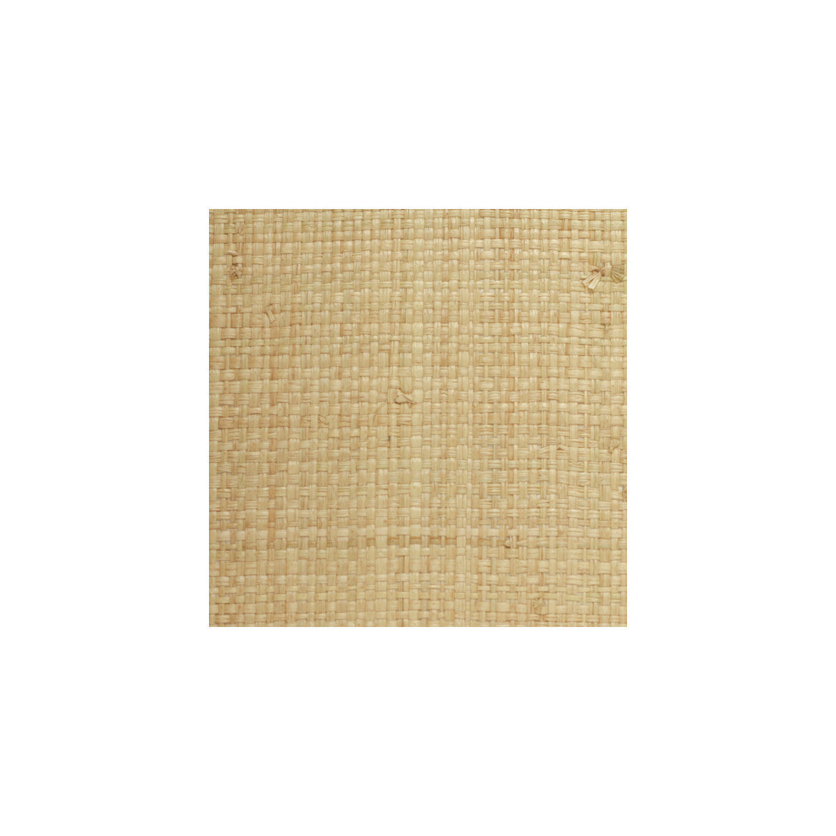 wbg5135wt0-grasscloth-0-winfield-thybony - WINFIELD THYBONY Wallpaper