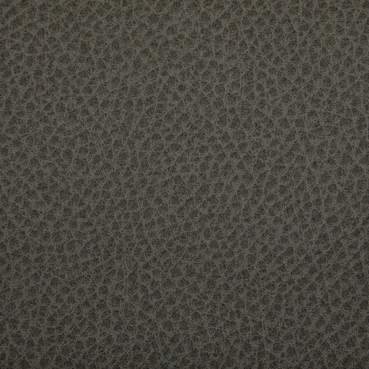 woolf11210-woolf-hawk-kravet-contract - KRAVET CONTRACT Fabric