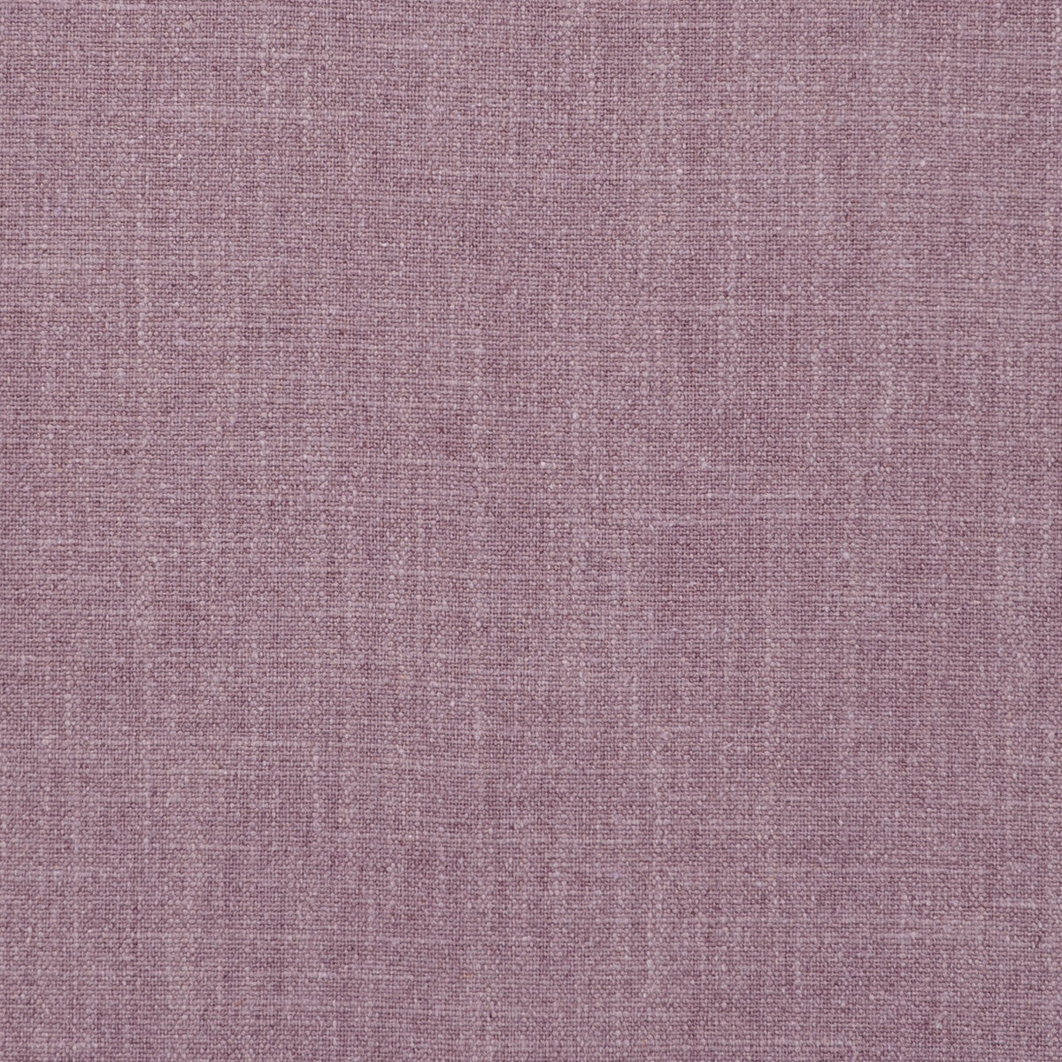 f073607cac0-easton-orchid-clarke-and-clarke - CLARKE AND CLARKE Fabric