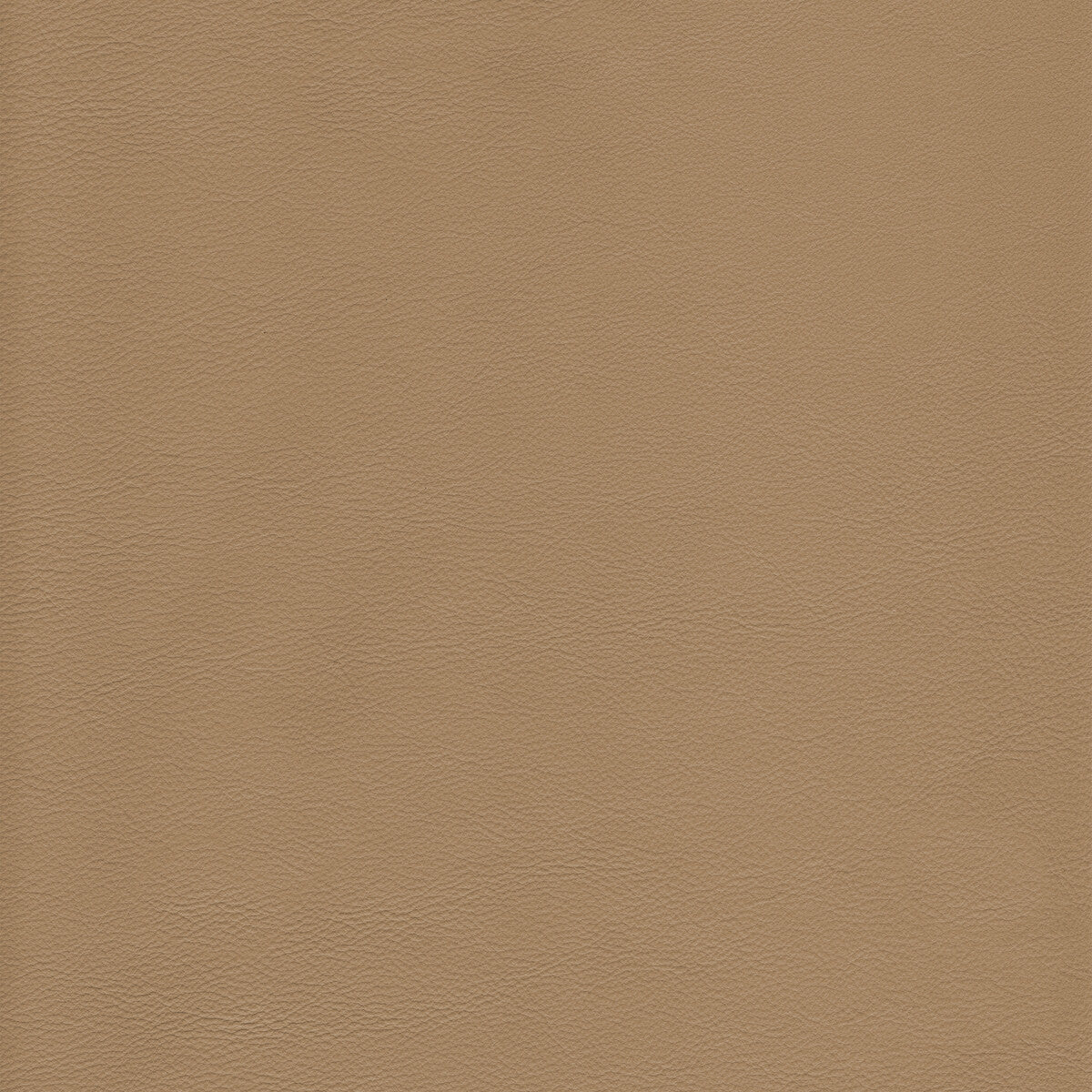 l-howdytea0-kravet-design-l-howdy-tea-kravet-design