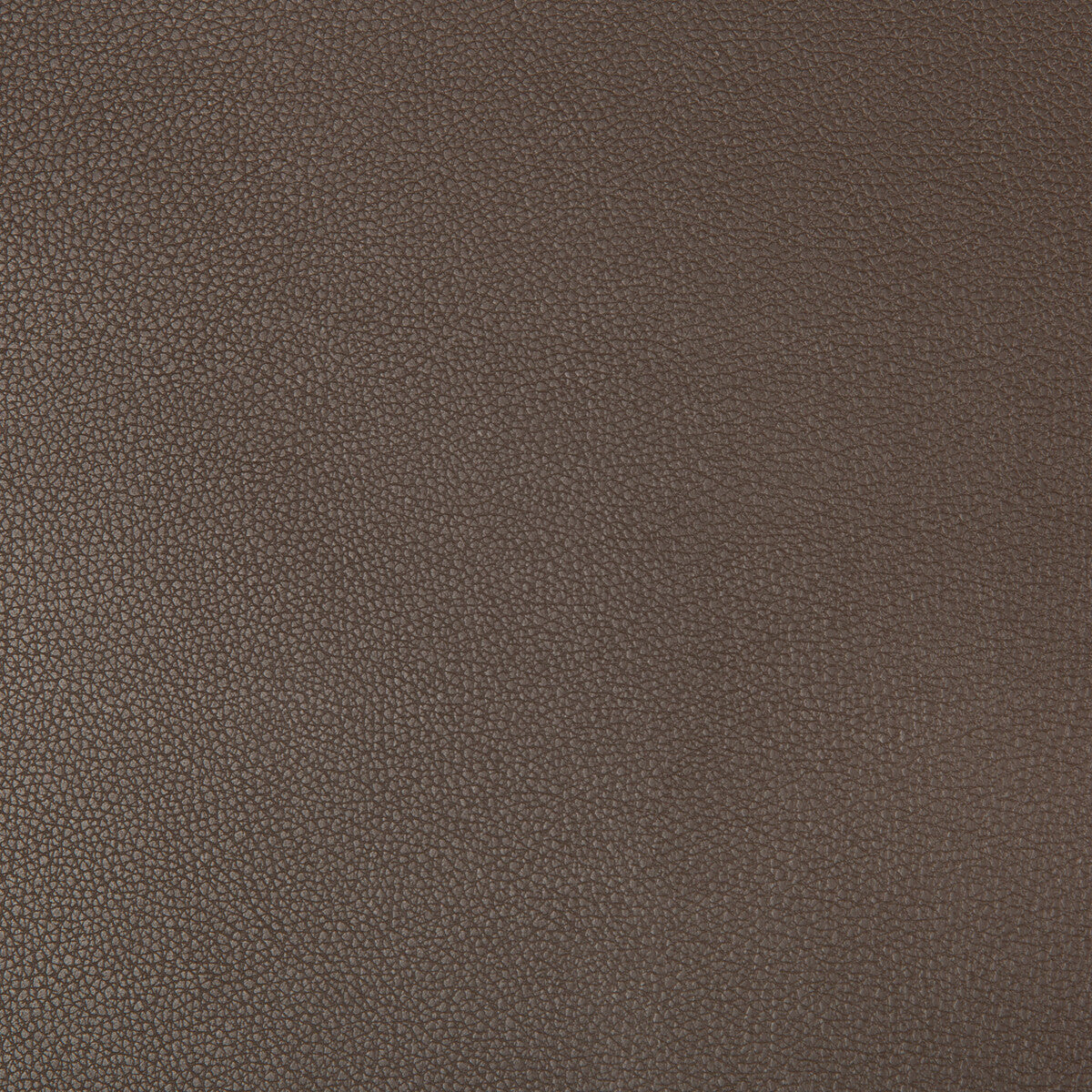 syrus660-syrus-espresso-kravet-contract