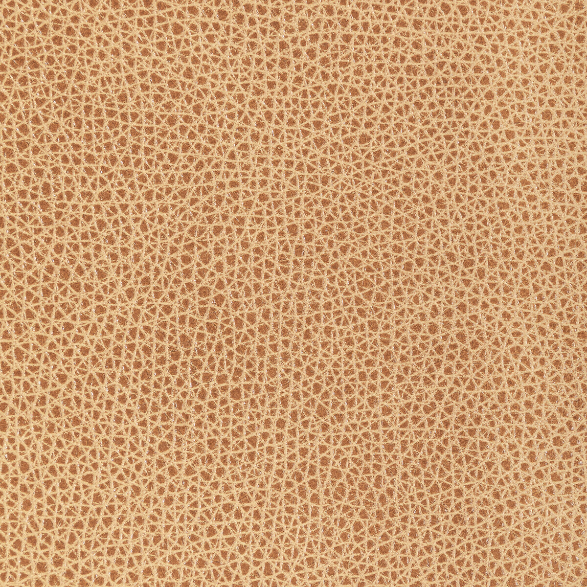 l-bisonbiscotti0-kravet-design-l-bison-biscotti-kravet-design