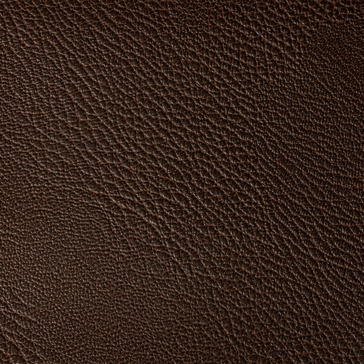 rustler60-rustler-bark-kravet-contract