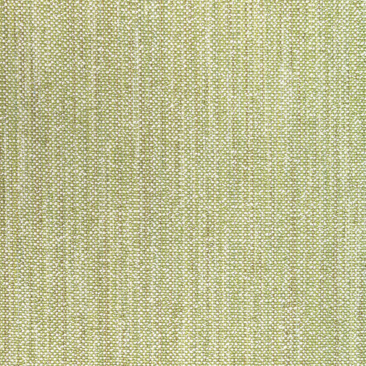802211030-rospico-plain-leaf-brunschwig-fils - BRUNSCHWIG & FILS Fabric
