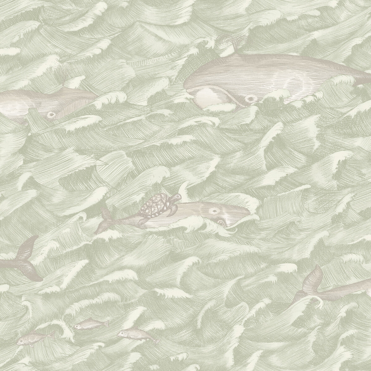 1031001cs0-melville-green-cole-son