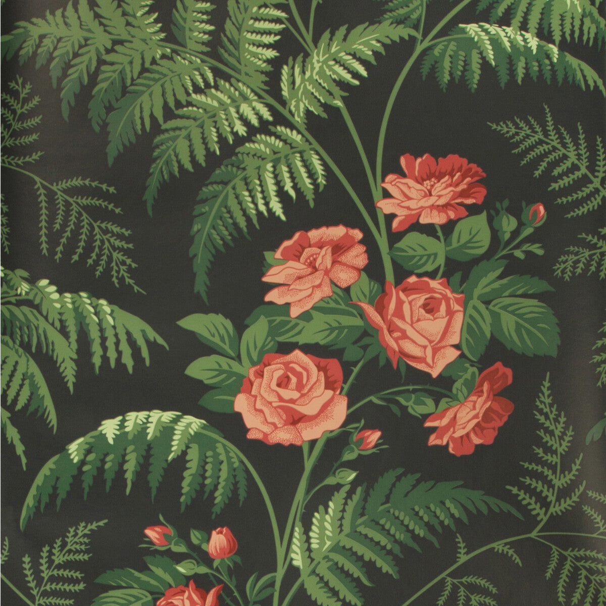 11510030cs0-rose-redl-greencharcoal-cole-son - COLE & SON Wallpaper