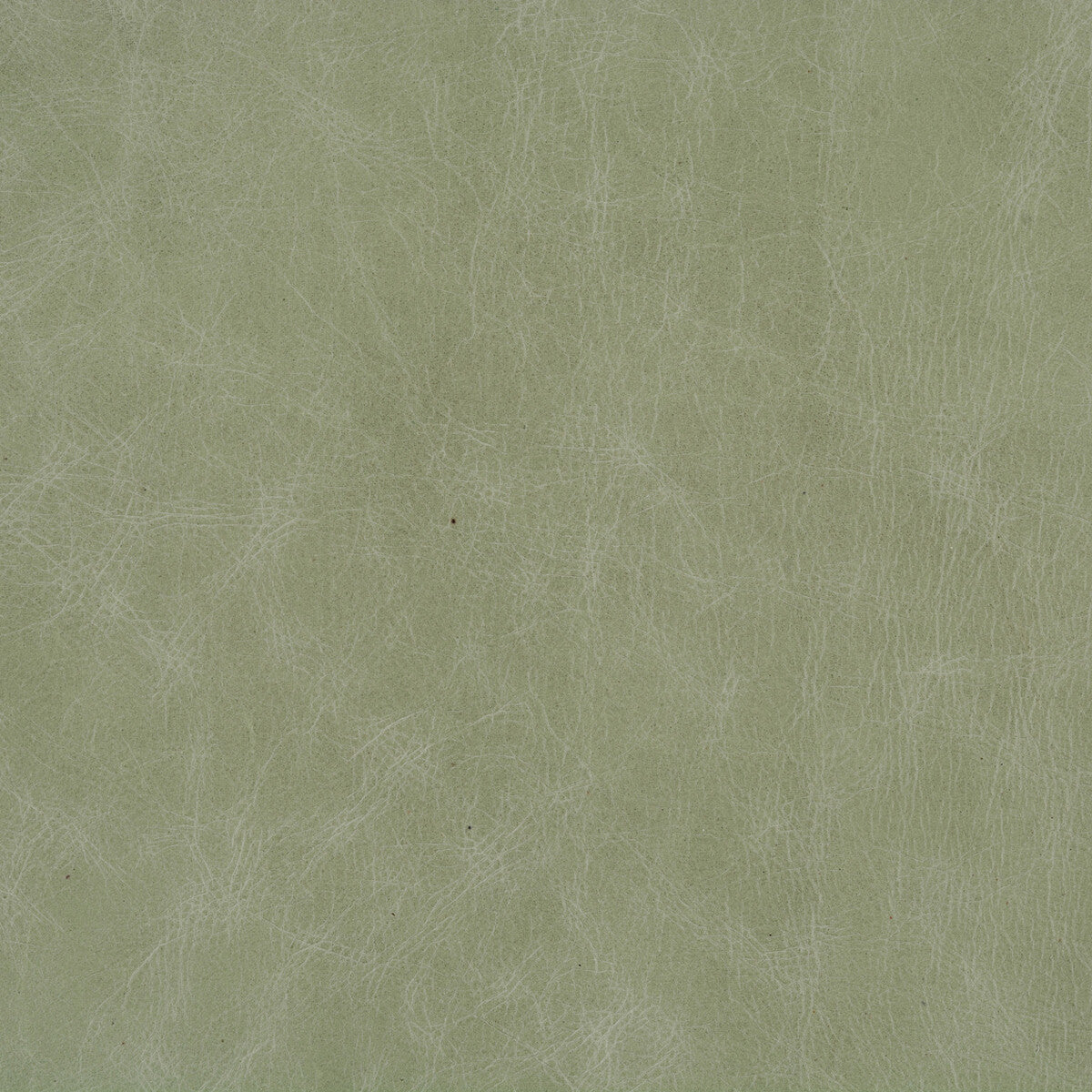 l-cueroeucalyptus0-kravet-design-l-cuero-eucalyptus-kravet-design