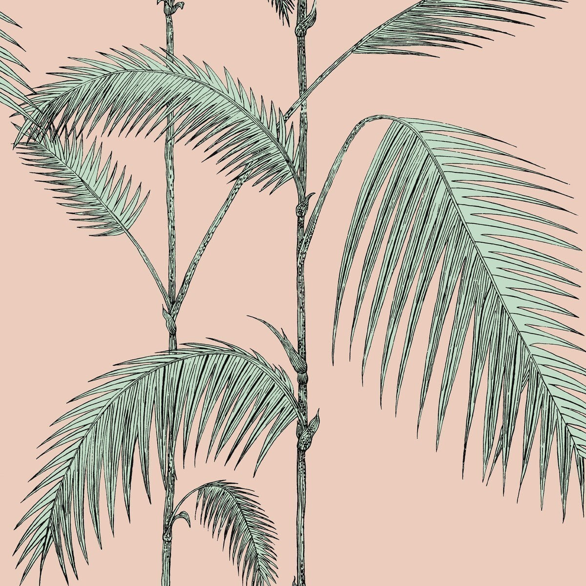 1122005cs0-palm-leaves-plaster-pinkmint-cole-son - COLE & SON Wallpaper