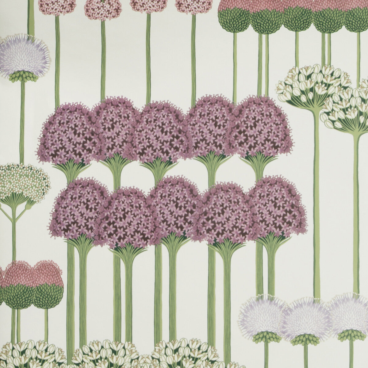 11512034cs0-allium-mulbblushlilacwh-cole-son - COLE & SON Wallpaper