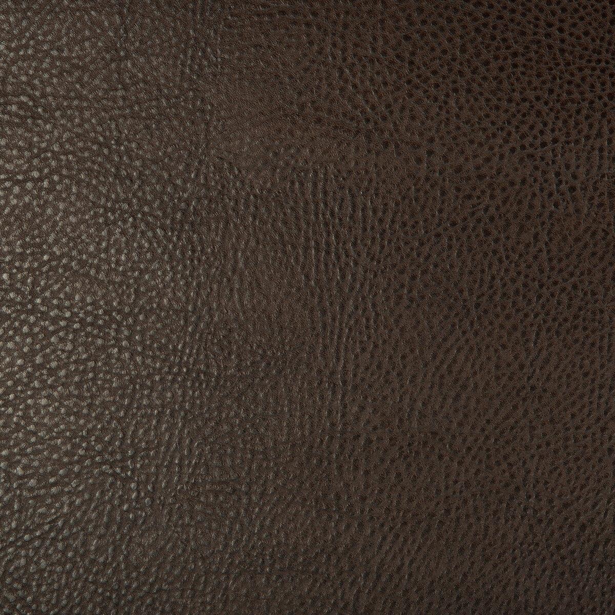 beholder60-kravet-design-beholder-6-kravet-design