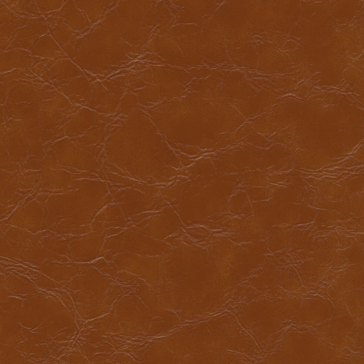equine60-kravet-design-equine-6-kravet-design - KRAVET DESIGN Fabric