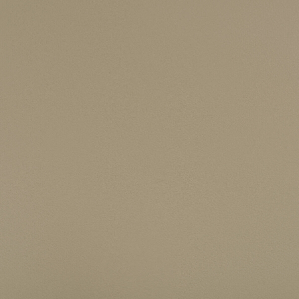 beech1060-kravet-design-beech-106-kravet-design