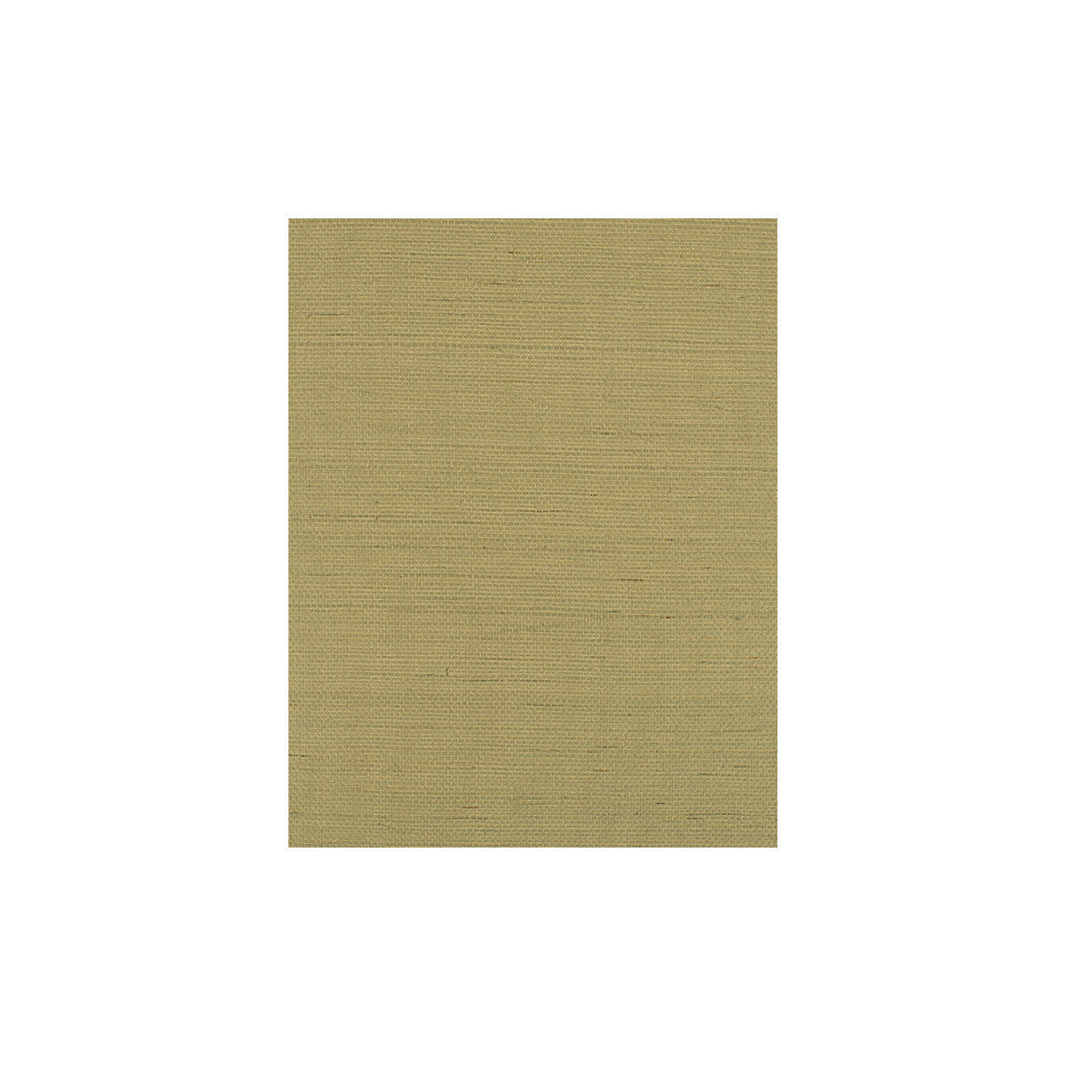 wiw2517wt0-bermuda-sprig-winfield-thybony - WINFIELD THYBONY Wallpaper