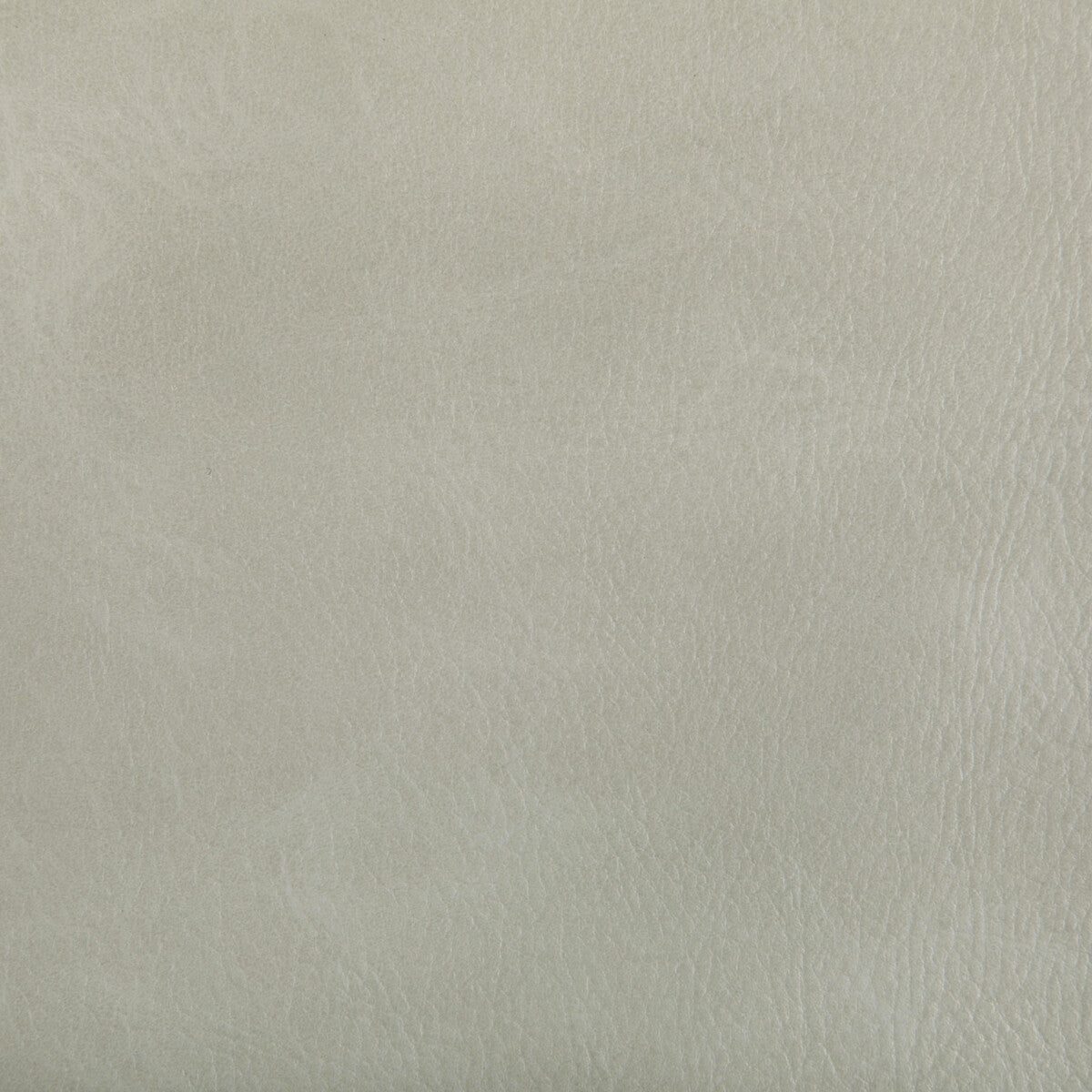 toni1010-toni-limestone-kravet-contract - KRAVET CONTRACT Fabric