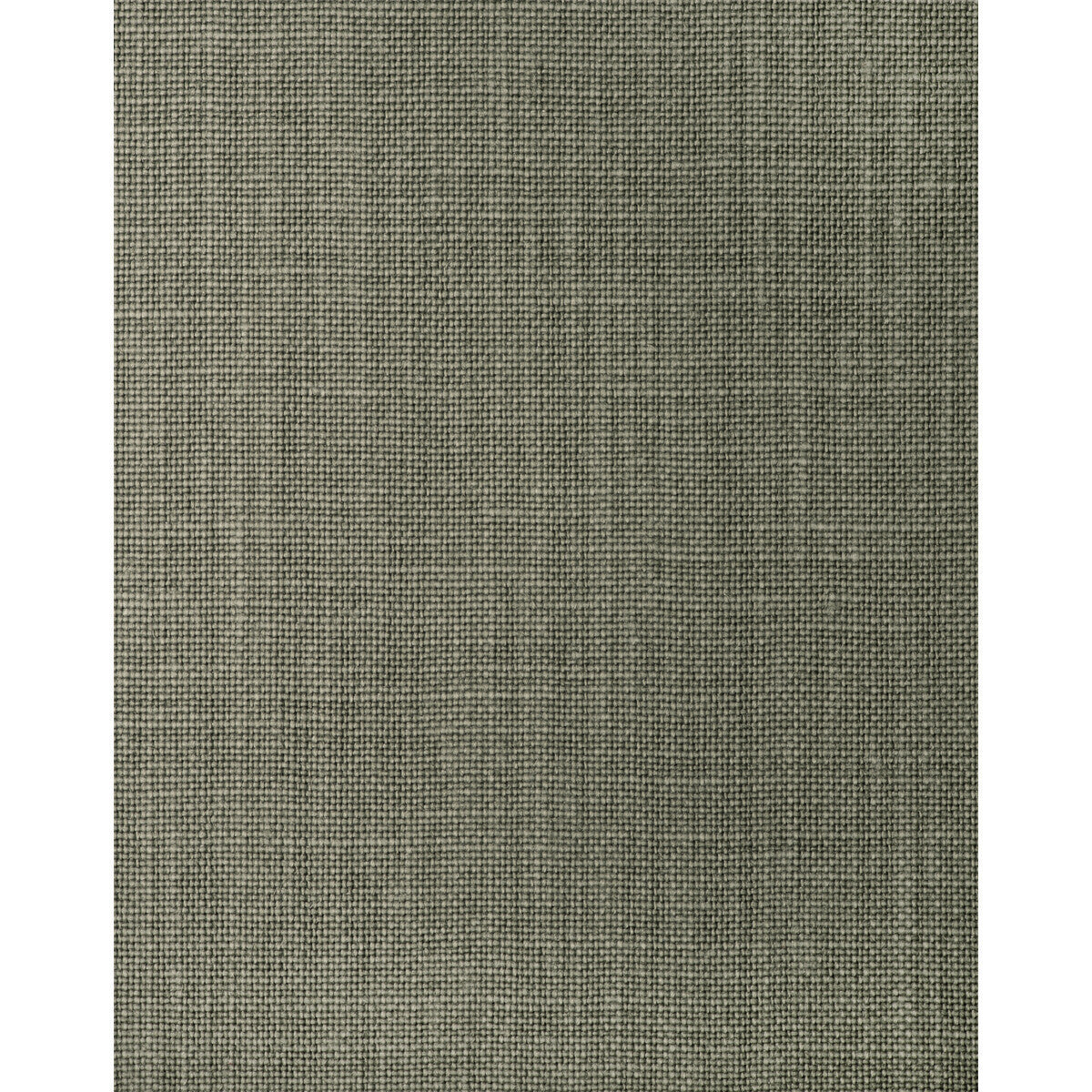 wft1629wt0-benning-juniper-winfield-thybony - WINFIELD THYBONY Wallpaper