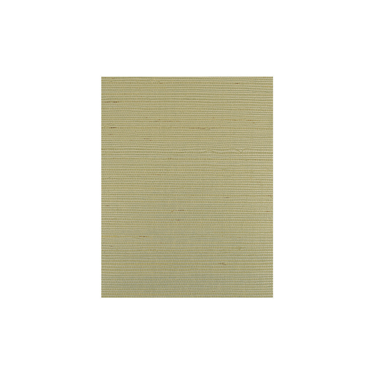 wiw2526wt0-bermuda-powder-winfield-thybony - WINFIELD THYBONY Wallpaper